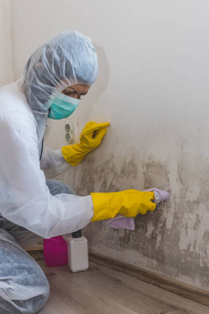 Best Biohazard Mold Removal  in Fredonia, AZ