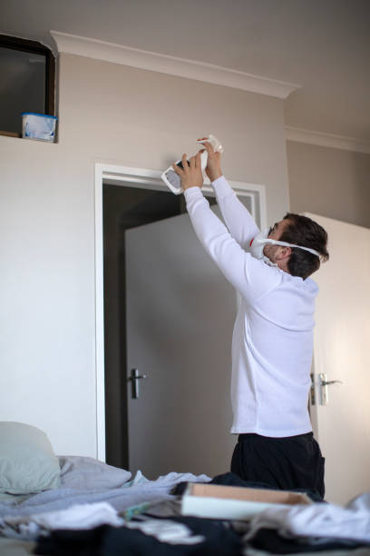 Best Mold Odor Removal Services  in Fredonia, AZ