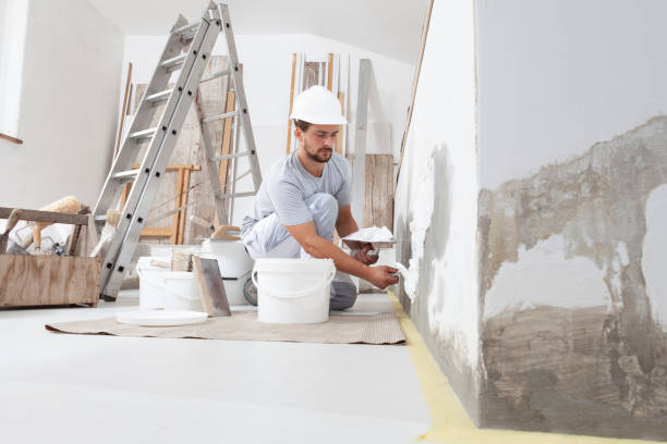 Best Mold Odor Removal Services  in Fredonia, AZ