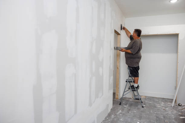 Best Mold Odor Removal Services  in Fredonia, AZ