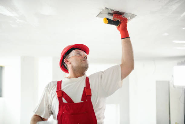 Best Black Mold Removal  in Fredonia, AZ