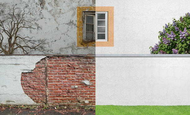 Best Mold Documentation for Insurance Claims  in Fredonia, AZ